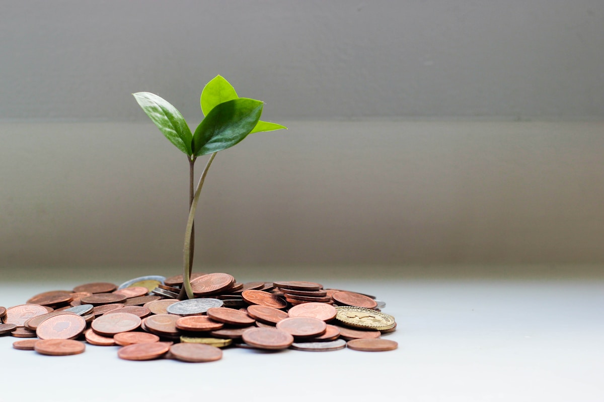 ROI de Projetos de Dados com IA: como medir e garantir